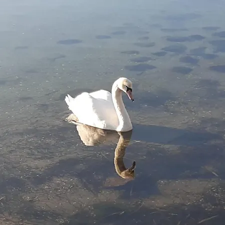 Bi De Kuehlung Villa