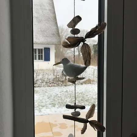 Bi De Kuehlung * Rerik